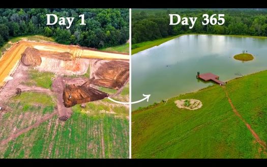One Year Ago I Built a 5 Acre Pond - Here's What Happened - land tv - thelandoutlet.com