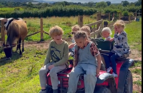 Discover how the Wild Minds Community escaped modern life's poisons and built an off-grid, land-based community focused on freedom and self-reliance.