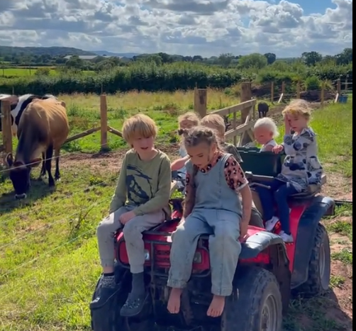 Discover how the Wild Minds Community escaped modern life's poisons and built an off-grid, land-based community focused on freedom and self-reliance.