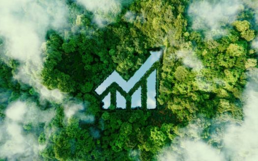 Beginner's Guide to Land Flipping