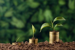 Why Buying Land is the Smartest Investment You Can Make